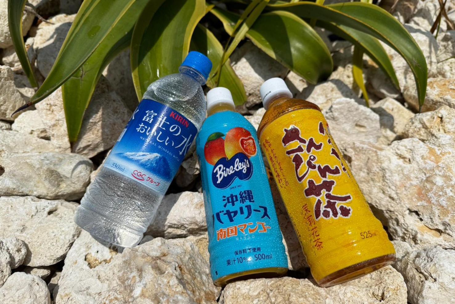 Appartamento Cozystay In トゥリバー宮古島